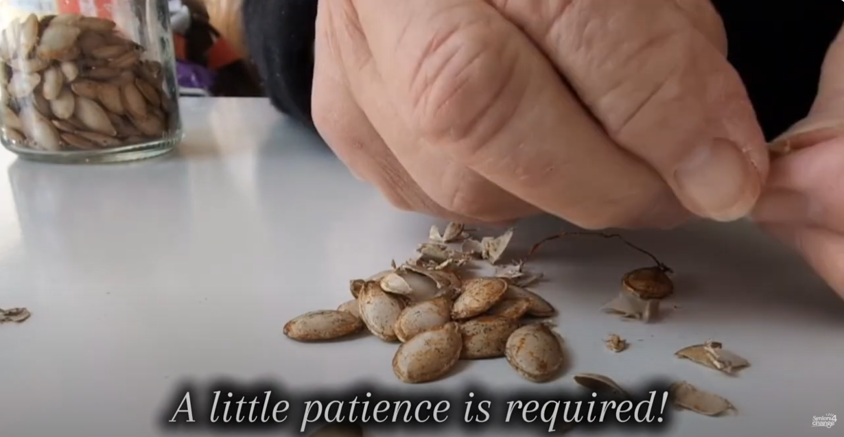 How to turn squash seeds into savoury snacks
