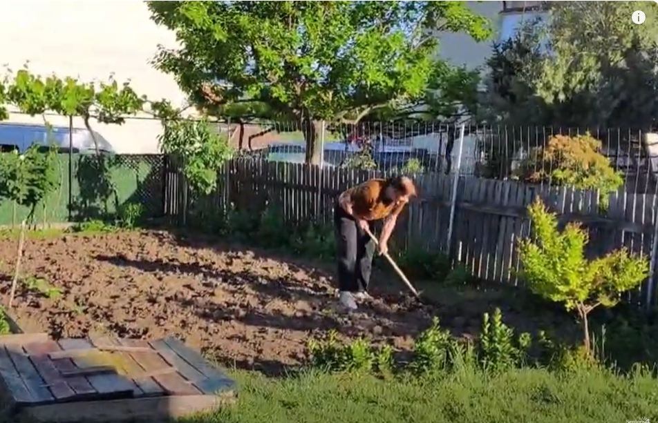 Taking care of a vegetable garden